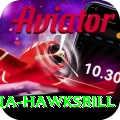 antigua hawksbill Premium v1.2.9