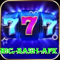 bbl big bash apk Premium Edition v5.6.0