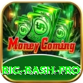 big bash Pakistan Supreme v3.2.3