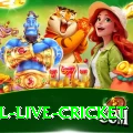 bpl live cricket Max v4.1.6