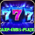 carp fish - Slots Premium