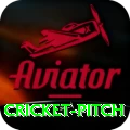 cricket pitch Apps (Tools & Injectors) Max v5.1.9