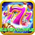 david gower Elite Pro v1.4.1