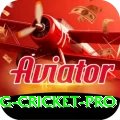 eng cricket VIP - Free Download