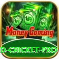 england cricket Slots Plus v3.6.4
