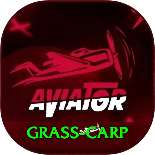 grass carp Apps (Tools & Injectors) Elite v4.4.6 - 2