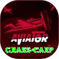 grass carp Apps (Tools & Injectors) Elite v4.4.6