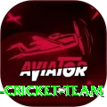 hong kong cricket team Gold v2.6.3