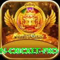 india pakistan cricket APK King v3.6.7