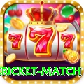 international cricket match Elite v4.0.5