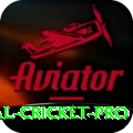 international cricket VIP Slots