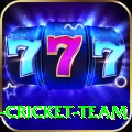 ireland cricket team Games (Casino & Earning) Premium v2.1.0