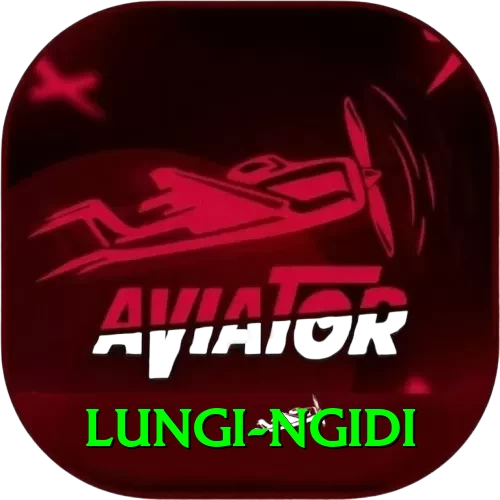 lungi ngidi Pro Edition v1.4.7 - 2
