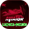 lungi ngidi Pro Edition v1.4.7