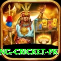 make money betting cricket pk VIP Pro v5.4.2