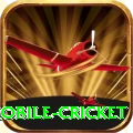 mobile cricket Turbo Pro v2.6.3