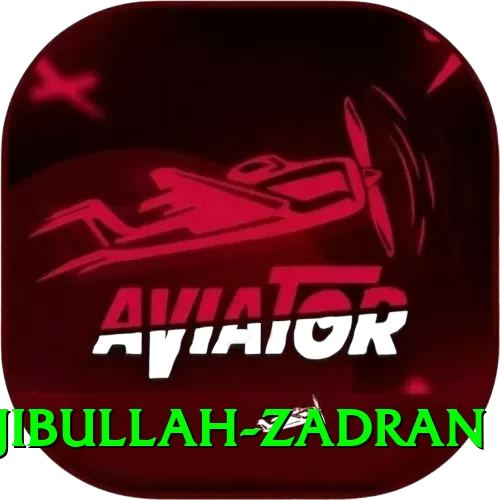 najibullah zadran Turbo v4.0.6 - 2