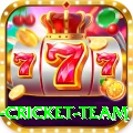 netherlands cricket team Ultimate v5.3.3