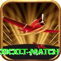 next cricket match Deluxe v1.4.2