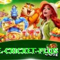 one cricket Plus Slots