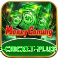 online cricket Slots Max v1.8.2