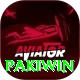 Pakiwin VIP Pro vv1.4.1
