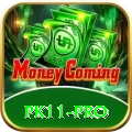 pk11 Live Casino Plus