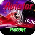 pkspin Master Pro vv3.8.1