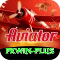 pkwin Deluxe Pro v1.0.5