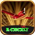 r cricket VIP Pro v4.2.0