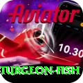 sturgeon fish Turbo v1.2.0