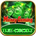 test cricket Gold Edition v3.5.4