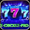 test cricket Slots Pro v5.4.8