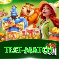 test match Pro Max v4.4.1