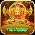 tiger888 Gold v4.3.6