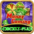 v cricket Master Jackpot