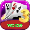 wc t20 Elite v1.5.5