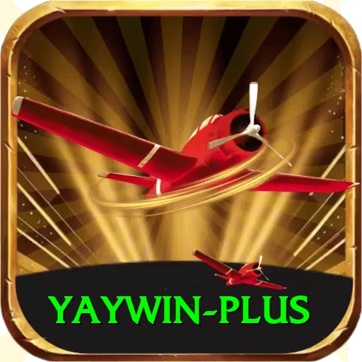 yaywin Deluxe Edition v4.6.8 - 2